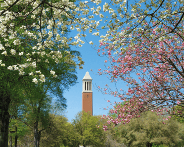 University of Alabama at Tuscaloosa