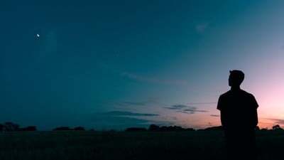 Man in twilight field looking at stars