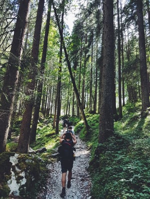 Group of people hiking in the woods