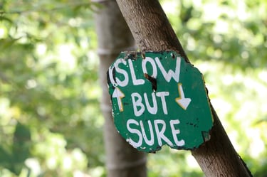 Sign posted on tree: slow but sure